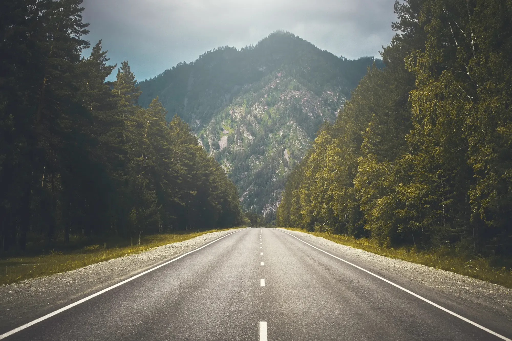 road nature